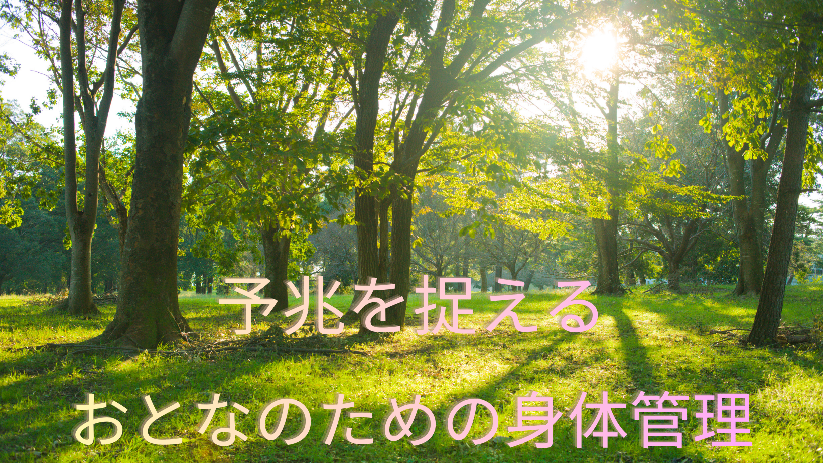 投稿についてもっと詳しく 