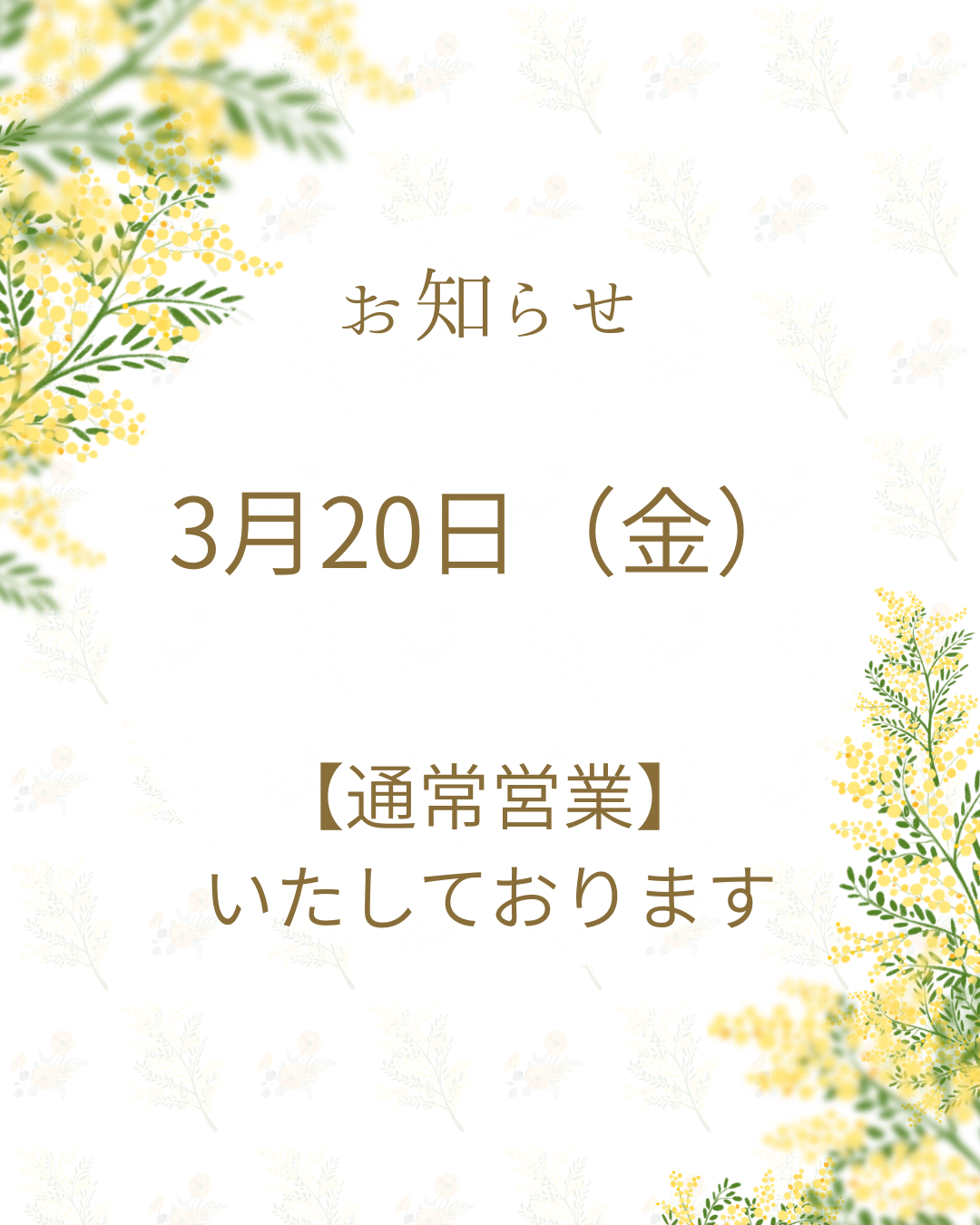 投稿についてもっと詳しく 3月20日（金・祝日）【通常営業】のお知らせ
